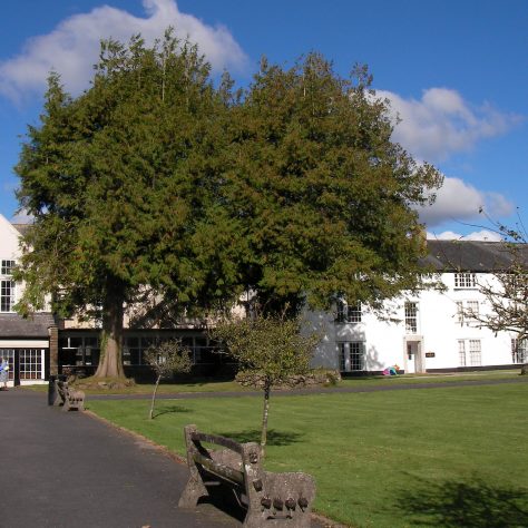 Shebbear College Shebbear College has Lake Chapel and Lake Farmhouse within its grounds | Maureen Ellis