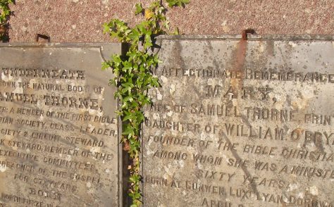 Thorne, Samuel and Mary - Tombstones at Lake